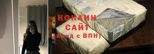 спайс Богданович