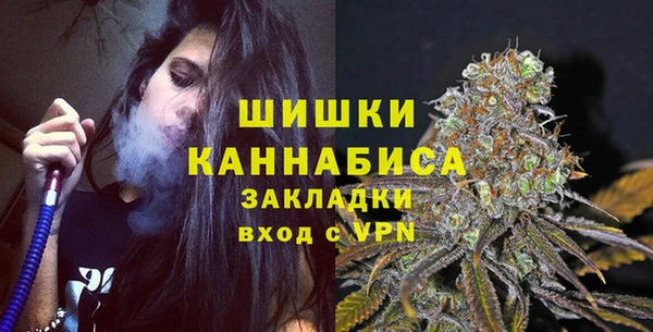 спайс Богданович