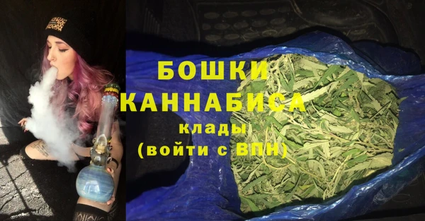 спайс Богданович