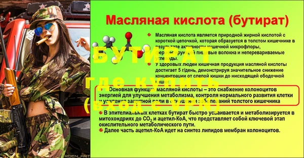 спайс Богданович
