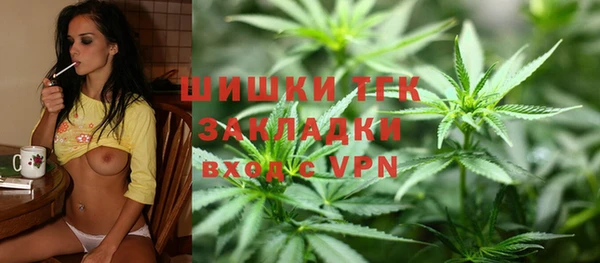 спайс Богданович