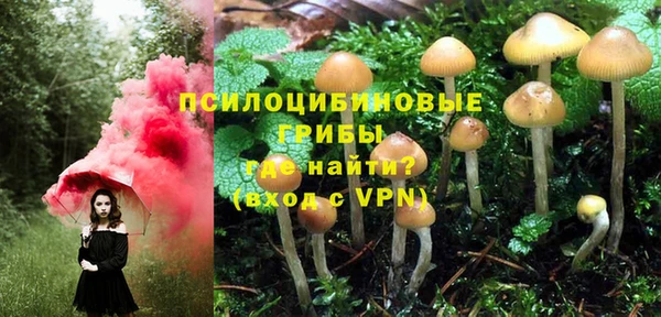 наркотики Богородск