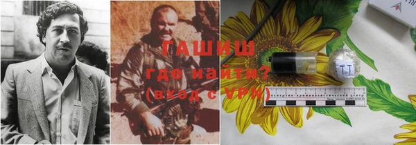 спайс Богданович