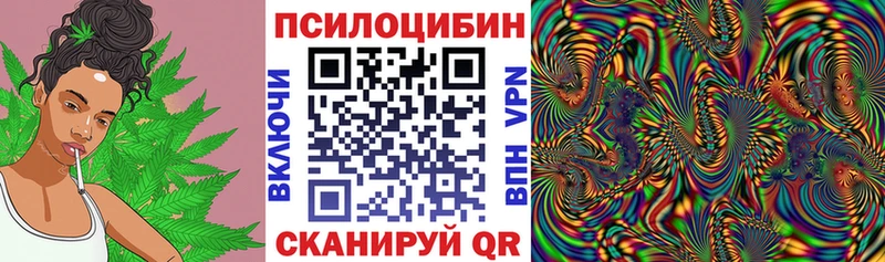 Галлюциногенные грибы мухоморы  Купить закладки  Надым 